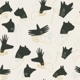 popeline de coton antibactérien imprimé